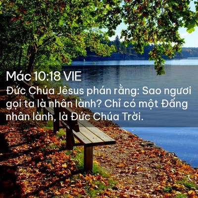 Picture 02 - Mác 10:18 VIE - Đức Chúa Jêsus phán rằng: Sao ngươi - Bible Verse Picture