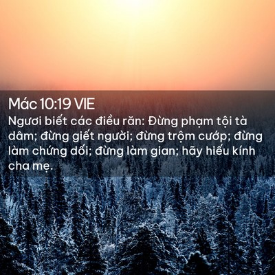 Picture 02 - Mác 10:19 VIE - Ngươi biết các điều răn: Đừng phạm - Bible Verse Picture