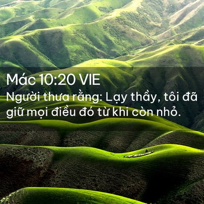 Picture 02 - Mác 10:20 VIE - Người thưa rằng: Lạy thầy, tôi đã - Bible Verse Picture