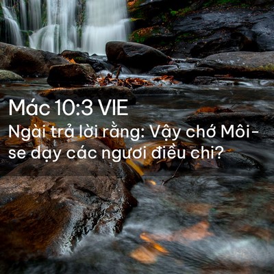Picture 02 - Mác 10:3 VIE - Ngài trả lời rằng: Vậy chớ Môi-se - Bible Verse Picture