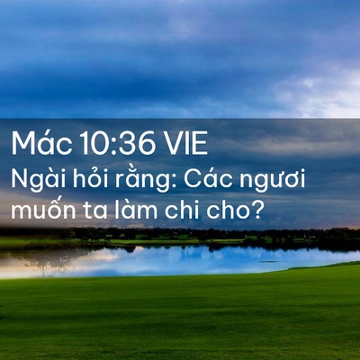 Picture 02 - Mác 10:36 VIE - Ngài hỏi rằng: Các ngươi muốn ta làm - Bible Verse Picture
