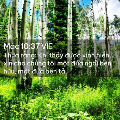 Picture 02 - Mác 10:37 VIE - Thưa rằng: Khi thầy được vinh hiển, - Bible Verse Picture