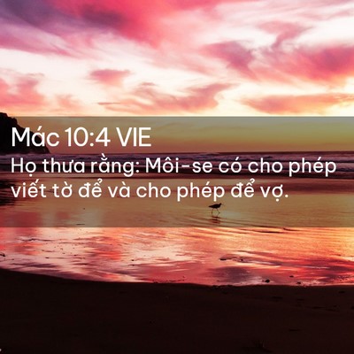 Picture 02 - Mác 10:4 VIE - Họ thưa rằng: Môi-se có cho phép viết - Bible Verse Picture