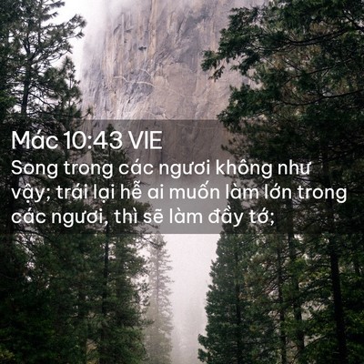 Picture 02 - Mác 10:43 VIE - Song trong các ngươi không như vậy; trái - Bible Verse Picture