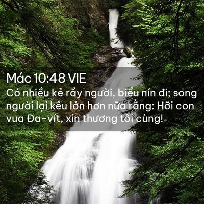 Picture 02 - Mác 10:48 VIE - Có nhiều kẻ rầy người, biểu nín đi; - Bible Verse Picture