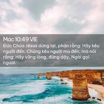 Picture 02 - Mác 10:49 VIE - Đức Chúa Jêsus dừng lại, phán rằng: - Bible Verse Picture