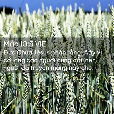 Picture 02 - Mác 10:5 VIE - Đức Chúa Jêsus phán rằng: Aáy vì cớ - Bible Verse Picture