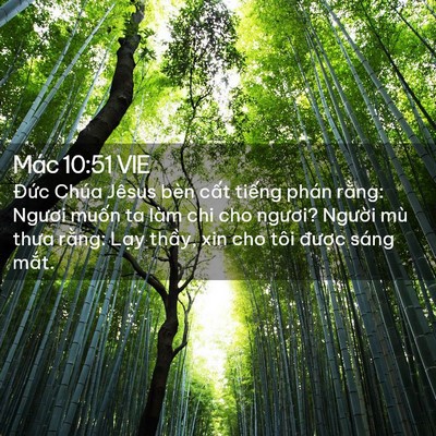Picture 02 - Mác 10:51 VIE - Đức Chúa Jêsus bèn cất tiếng phán - Bible Verse Picture
