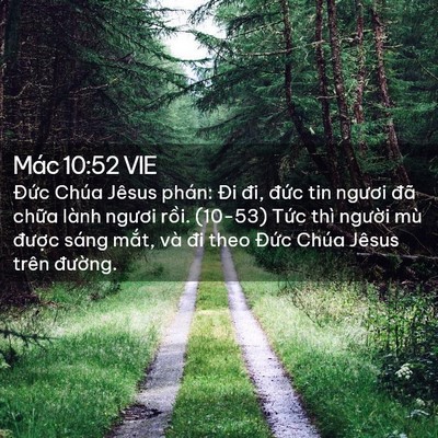 Picture 02 - Mác 10:52 VIE - Đức Chúa Jêsus phán: Đi đi, đức tin - Bible Verse Picture