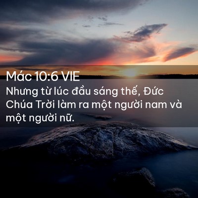Picture 02 - Mác 10:6 VIE - Nhưng từ lúc đầu sáng thế, Đức Chúa - Bible Verse Picture