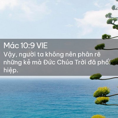Picture 02 - Mác 10:9 VIE - Vậy, người ta không nên phân rẽ những - Bible Verse Picture