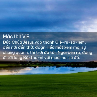 Picture 02 - Mác 11:11 VIE - Đức Chúa Jêsus vào thành Giê-ru-sa-lem, - Bible Verse Picture
