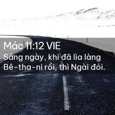 Picture 02 - Mác 11:12 VIE - Sáng ngày, khi đã lìa làng Bê-tha-ni - Bible Verse Picture