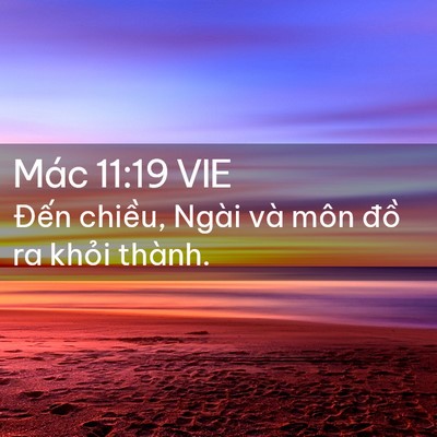 Picture 02 - Mác 11:19 VIE - Đến chiều, Ngài và môn đồ ra khỏi - Bible Verse Picture