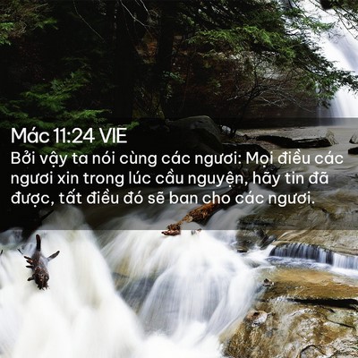 Picture 02 - Mác 11:24 VIE - Bởi vậy ta nói cùng các ngươi: Mọi - Bible Verse Picture