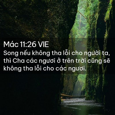 Picture 02 - Mác 11:26 VIE - Song nếu không tha lỗi cho người ta, thì - Bible Verse Picture