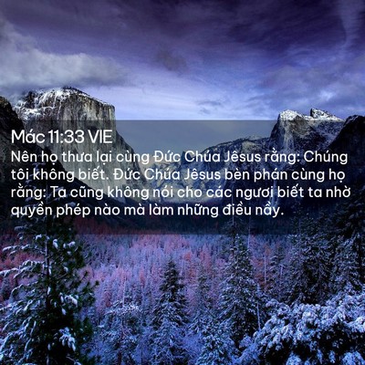 Picture 02 - Mác 11:33 VIE - Nên họ thưa lại cùng Đức Chúa Jêsus - Bible Verse Picture