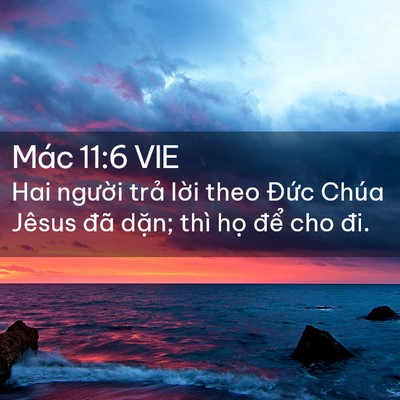 Picture 02 - Mác 11:6 VIE - Hai người trả lời theo Đức Chúa Jêsus - Bible Verse Picture