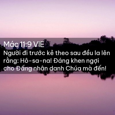 Picture 02 - Mác 11:9 VIE - Người đi trước kẻ theo sau đều la - Bible Verse Picture