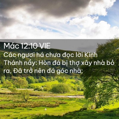 Picture 02 - Mác 12:10 VIE - Các ngươi há chưa đọc lời Kinh Thánh - Bible Verse Picture