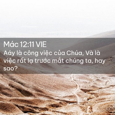 Picture 02 - Mác 12:11 VIE - Aáy là công việc của Chúa, Và là việc - Bible Verse Picture