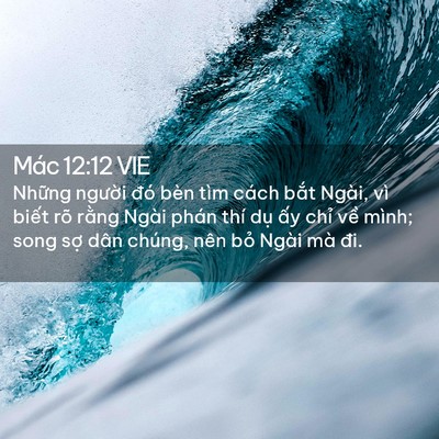 Picture 02 - Mác 12:12 VIE - Những người đó bèn tìm cách bắt - Bible Verse Picture