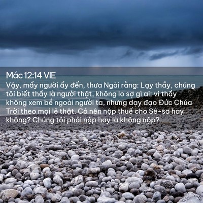 Picture 02 - Mác 12:14 VIE - Vậy, mấy người ấy đến, thưa Ngài - Bible Verse Picture