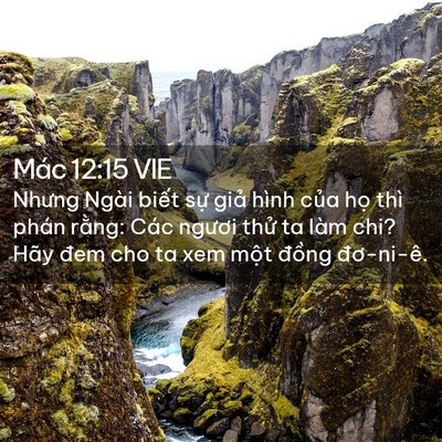 Picture 02 - Mác 12:15 VIE - Nhưng Ngài biết sự giả hình của họ - Bible Verse Picture