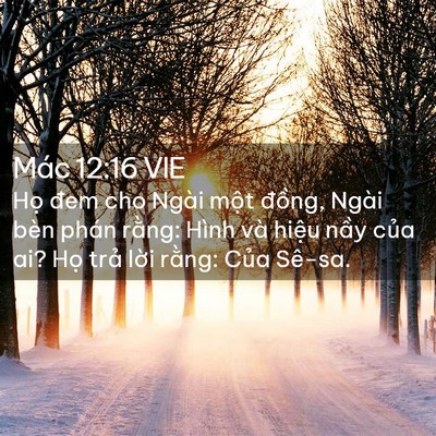 Picture 02 - Mác 12:16 VIE - Họ đem cho Ngài một đồng, Ngài bèn - Bible Verse Picture