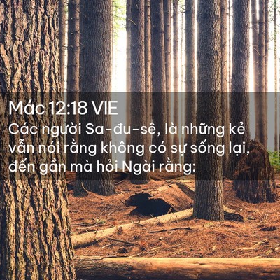 Picture 02 - Mác 12:18 VIE - Các người Sa-đu-sê, là những kẻ vẫn - Bible Verse Picture