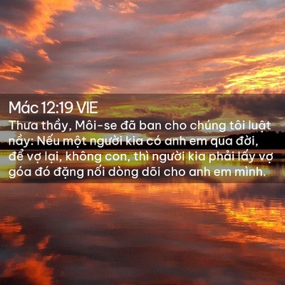 Picture 02 - Mác 12:19 VIE - Thưa thầy, Môi-se đã ban cho chúng tôi - Bible Verse Picture
