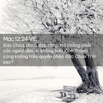 Picture 02 - Mác 12:24 VIE - Đức Chúa Jêsus đáp rằng: Há chẳng - Bible Verse Picture
