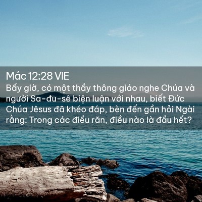 Picture 02 - Mác 12:28 VIE - Bấy giờ, có một thầy thông giáo nghe - Bible Verse Picture