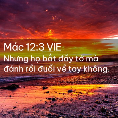 Picture 02 - Mác 12:3 VIE - Nhưng họ bắt đầy tớ mà đánh rồi - Bible Verse Picture