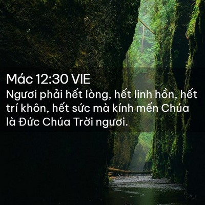 Picture 02 - Mác 12:30 VIE - Ngươi phải hết lòng, hết linh hồn, - Bible Verse Picture