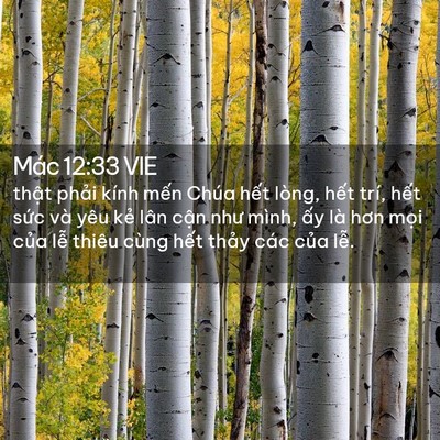Picture 02 - Mác 12:33 VIE - thật phải kính mến Chúa hết lòng, - Bible Verse Picture