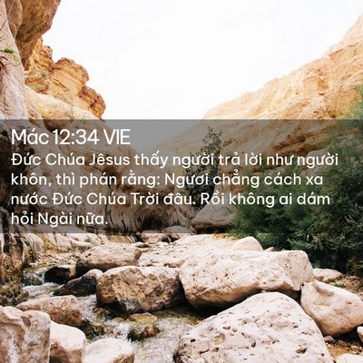 Picture 02 - Mác 12:34 VIE - Đức Chúa Jêsus thấy người trả lời - Bible Verse Picture