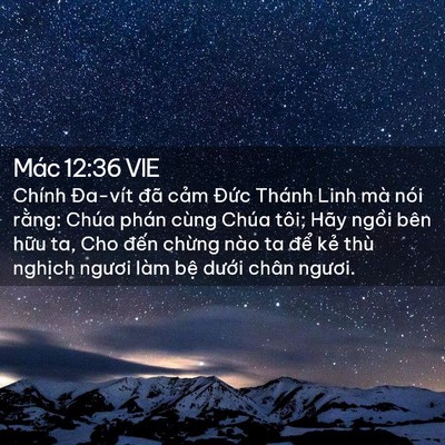 Picture 02 - Mác 12:36 VIE - Chính Đa-vít đã cảm Đức Thánh Linh mà - Bible Verse Picture
