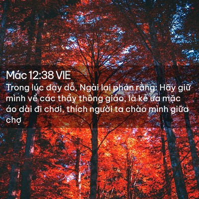 Picture 02 - Mác 12:38 VIE - Trong lúc dạy dỗ, Ngài lại phán rằng: - Bible Verse Picture