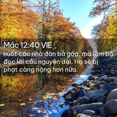 Picture 02 - Mác 12:40 VIE - nuốt các nhà đàn bà góa, mà làm bộ - Bible Verse Picture