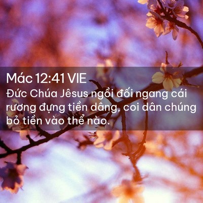 Picture 02 - Mác 12:41 VIE - Đức Chúa Jêsus ngồi đối ngang cái - Bible Verse Picture