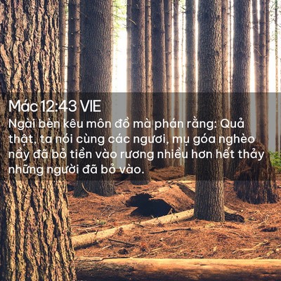 Picture 02 - Mác 12:43 VIE - Ngài bèn kêu môn đồ mà phán rằng: - Bible Verse Picture