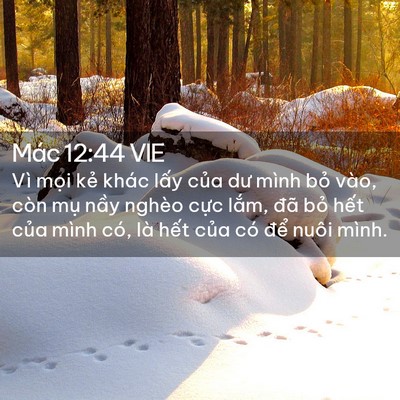 Picture 02 - Mác 12:44 VIE - Vì mọi kẻ khác lấy của dư mình bỏ - Bible Verse Picture