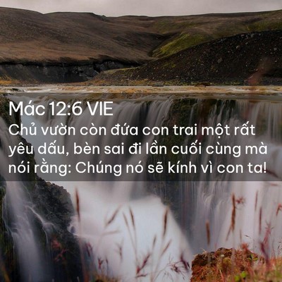 Picture 02 - Mác 12:6 VIE - Chủ vườn còn đứa con trai một rất - Bible Verse Picture