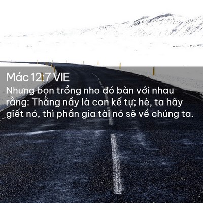 Picture 02 - Mác 12:7 VIE - Nhưng bọn trồng nho đó bàn với nhau - Bible Verse Picture