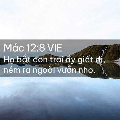 Picture 02 - Mác 12:8 VIE - Họ bắt con trai ấy giết đi, ném ra - Bible Verse Picture