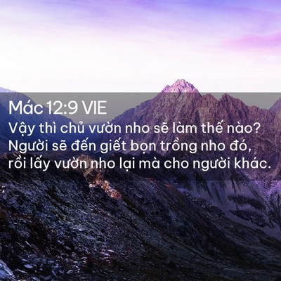 Picture 02 - Mác 12:9 VIE - Vậy thì chủ vườn nho sẽ làm thế - Bible Verse Picture