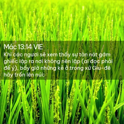 Picture 02 - Mác 13:14 VIE - Khi các ngươi sẽ xem thấy sự tàn nát - Bible Verse Picture