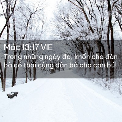 Picture 02 - Mác 13:17 VIE - Trong những ngày đó, khốn cho đàn bà - Bible Verse Picture