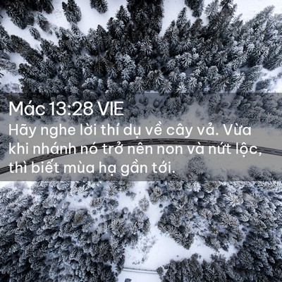 Picture 02 - Mác 13:28 VIE - Hãy nghe lời thí dụ về cây vả. Vừa - Bible Verse Picture